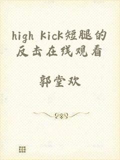 high kick短腿的反击在线观看